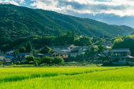 【論考】「何を建てるか」から「誰が維持するか」へ ―景観政策から考える人口減少社会の空間管理―